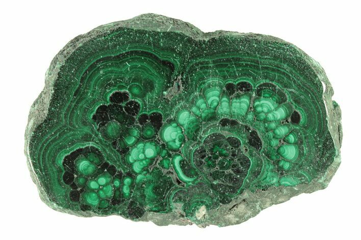 Flowery Polished Malachite Slab - DR Congo #266824